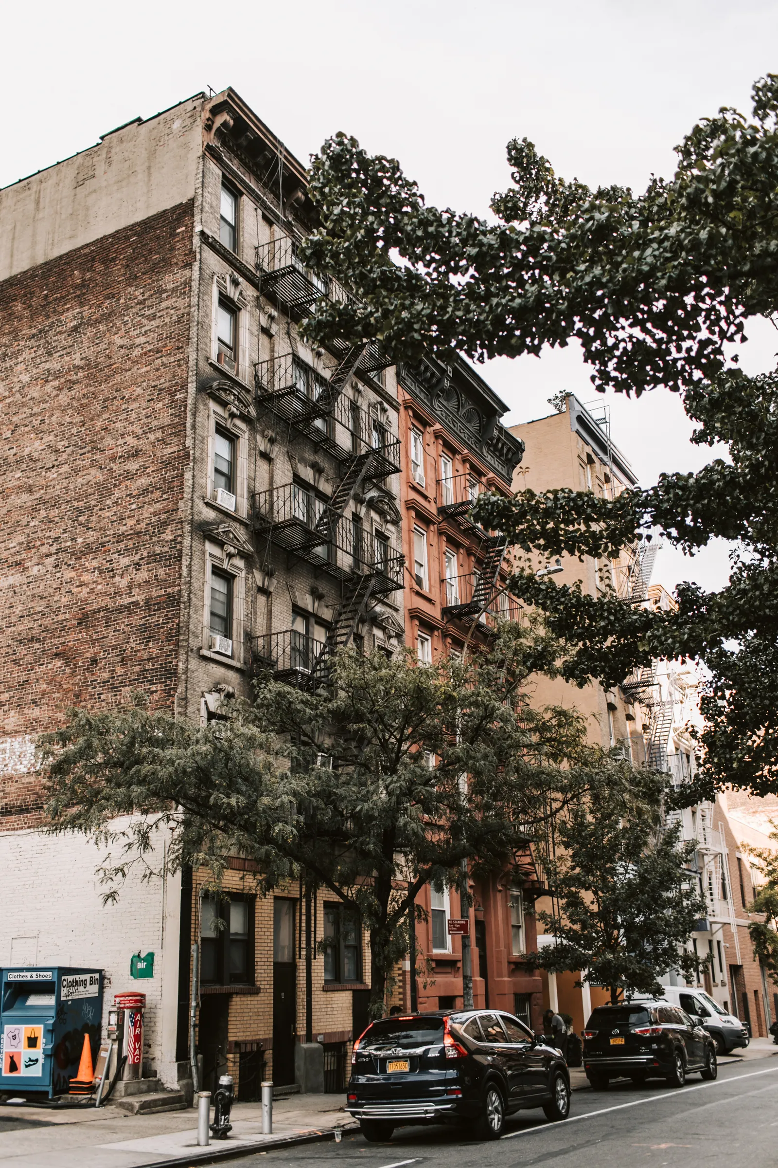Classic New York brownstone facades and leafy street trees